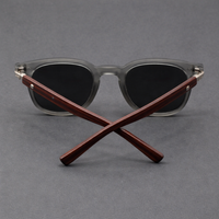 Quintus UV400 Browline Sunglasses