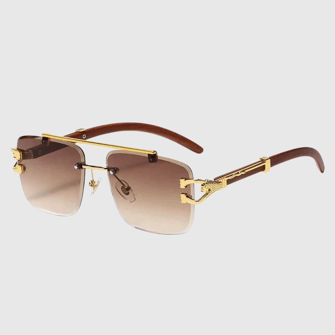 Leonnatus UV400 Square Sunglasses_2