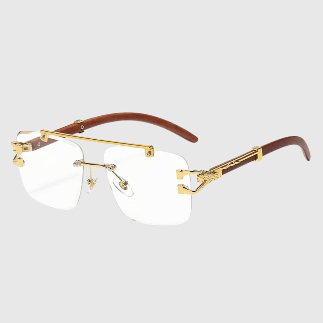 Leonnatus UV400 Square Sunglasses